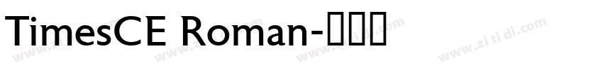 TimesCE Roman字体转换